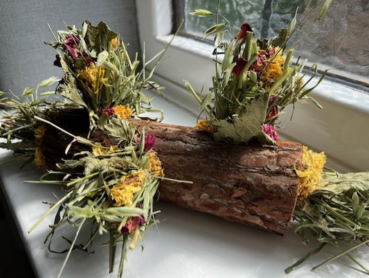 Woodland Adventure Tunnel