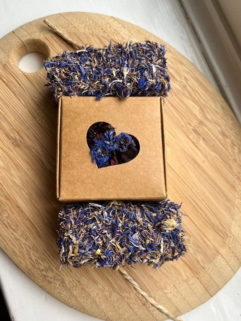 Blue Skies Balsa Fling