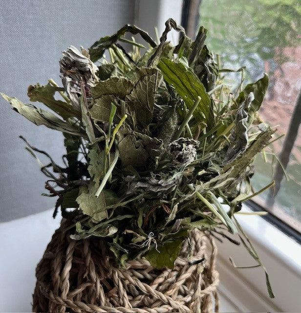 All About the Leaves Seagrass Forage Ball Large