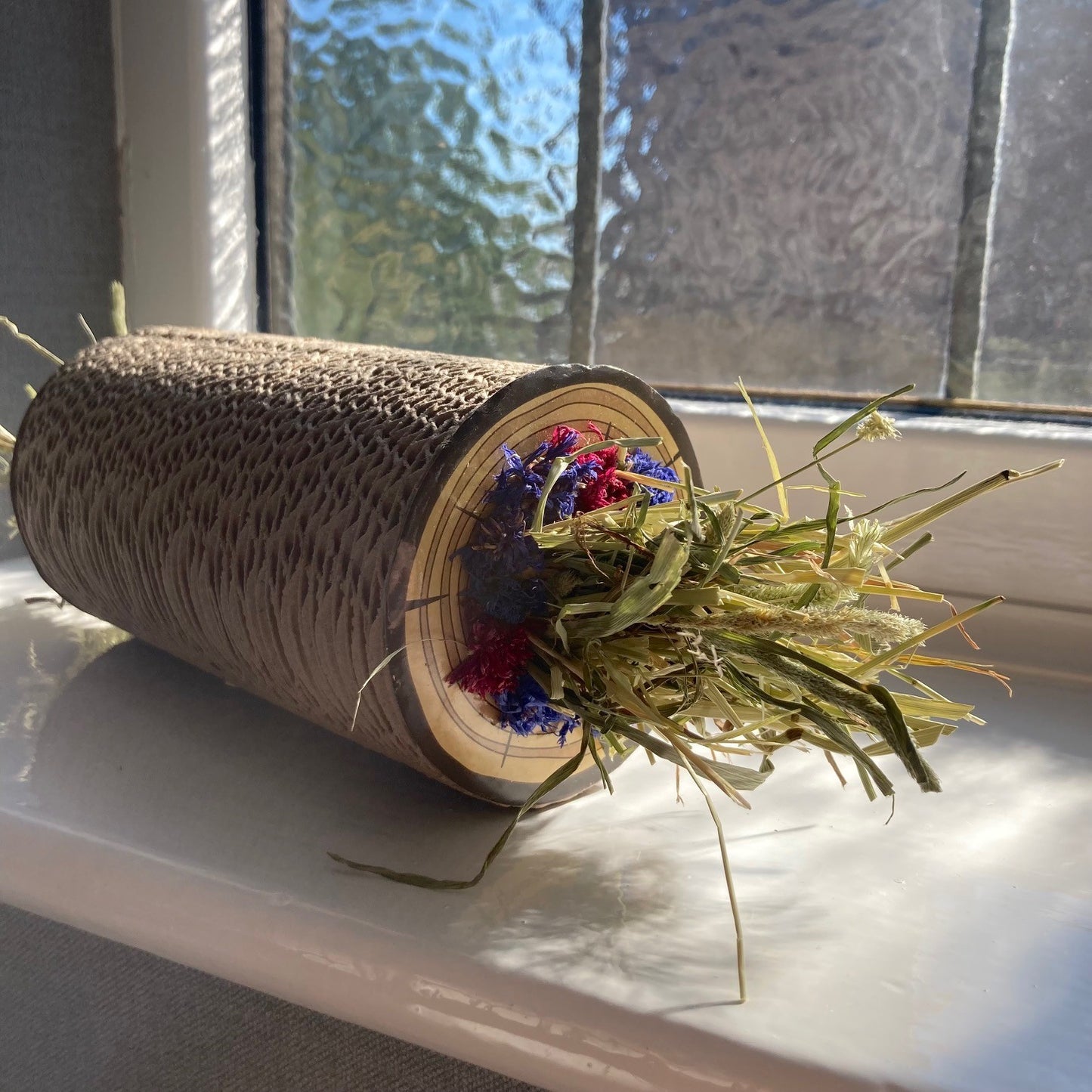 Forage Cardboard Roller