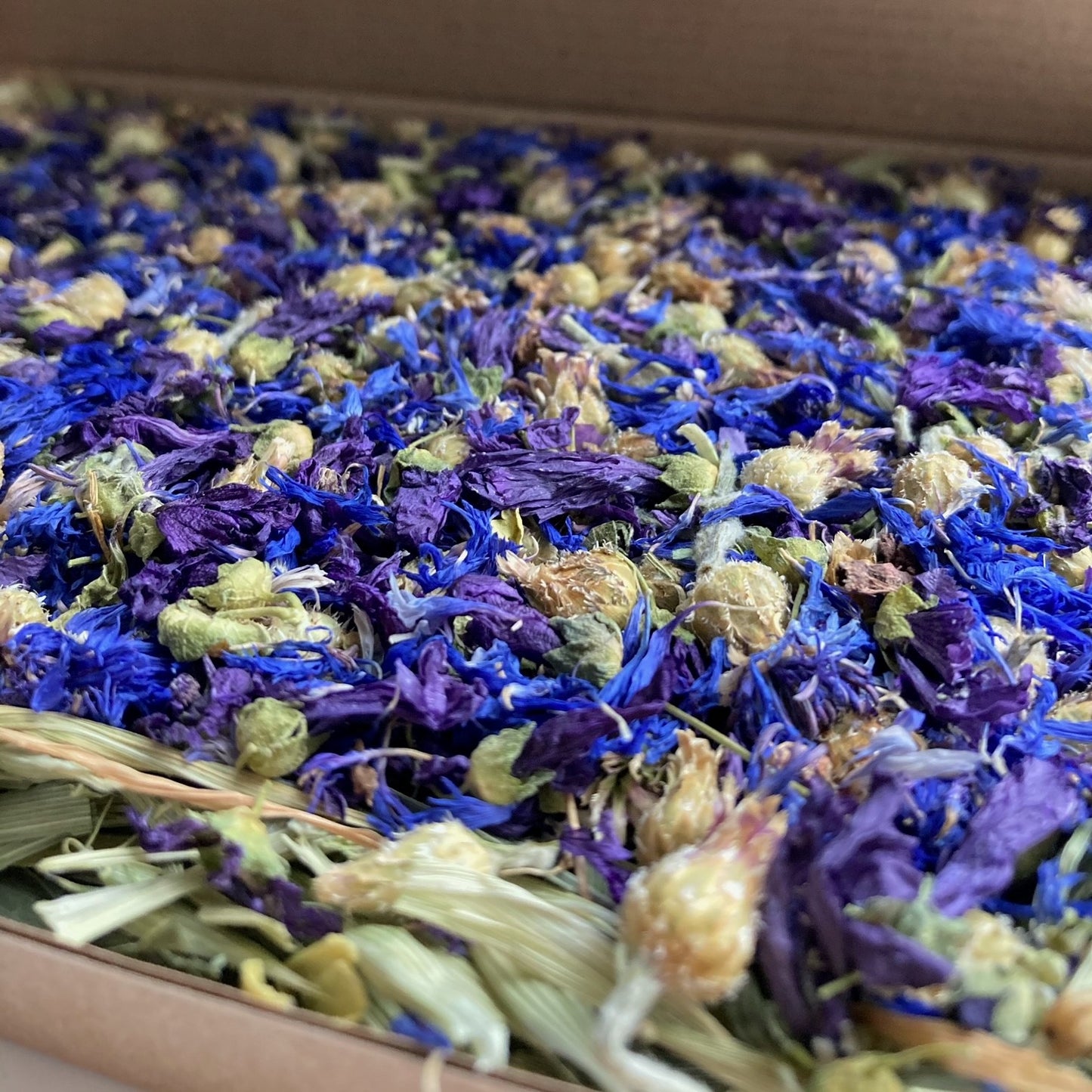 Blue Sea Forage Box