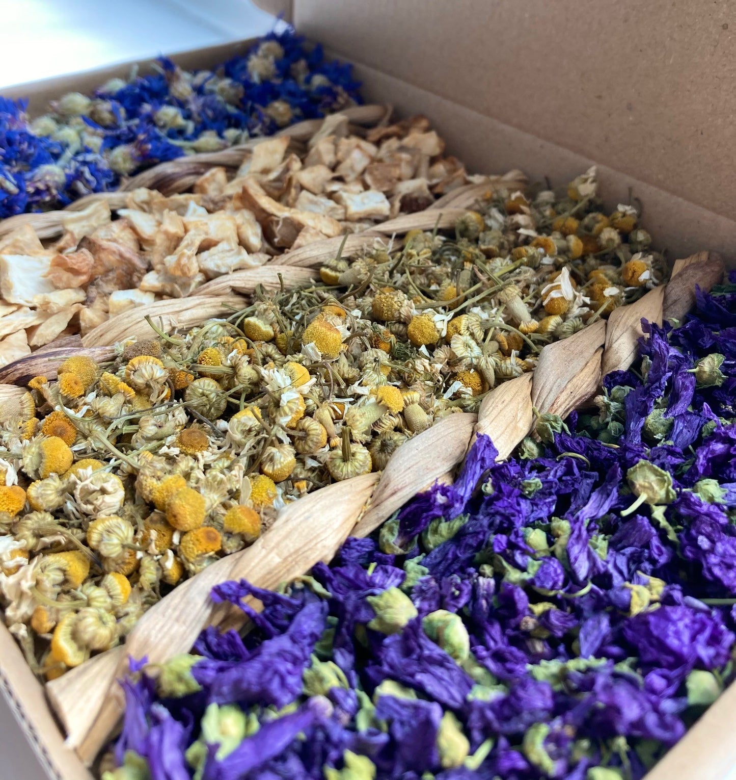 Blissful Blue Forage and Play Tray