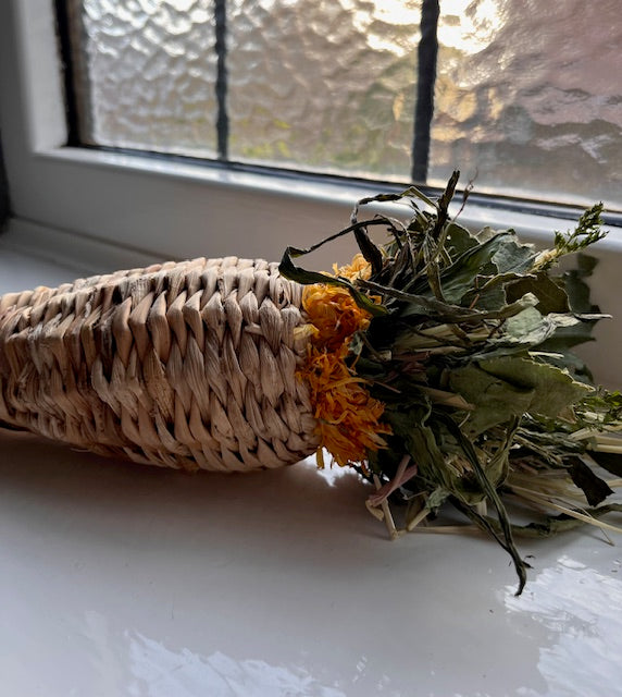 Rudolph's Christmas Carrot